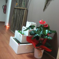 /album/instala%c3%a7%c3%b5es/a1-jpg2/
